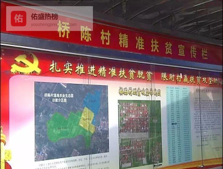 桥陈村：一年蝶变，稻香里走出致富路