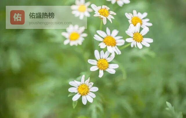 把日子过成诗：75句微小而确幸的天气文案