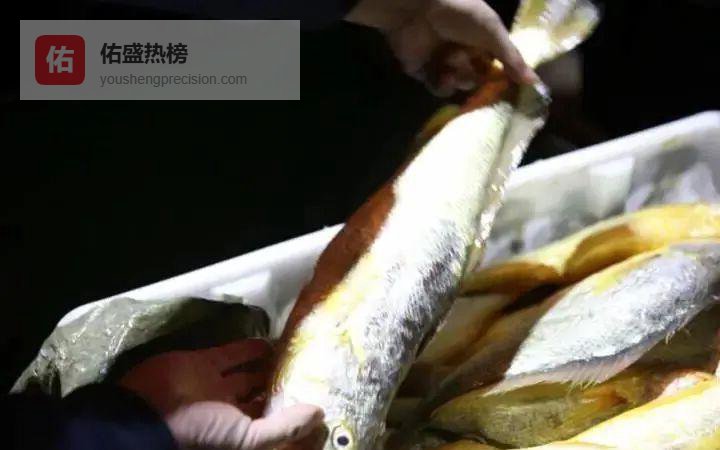 一网957万！野生大黄鱼为何能撬动“绿色财富”