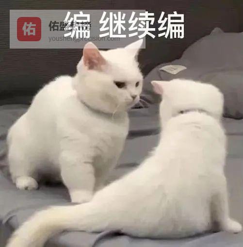 以为拐个弯就能躲开查酒驾？一吹200mg/100ml！