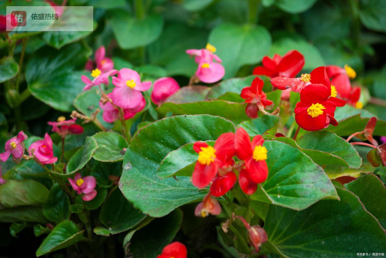 女人的性格好不好，看她穿的鞋就知道了，很准