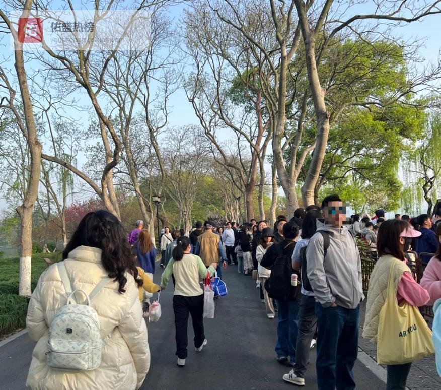 清明西湖赏樱全攻略：人潮地图+交通避坑图解
