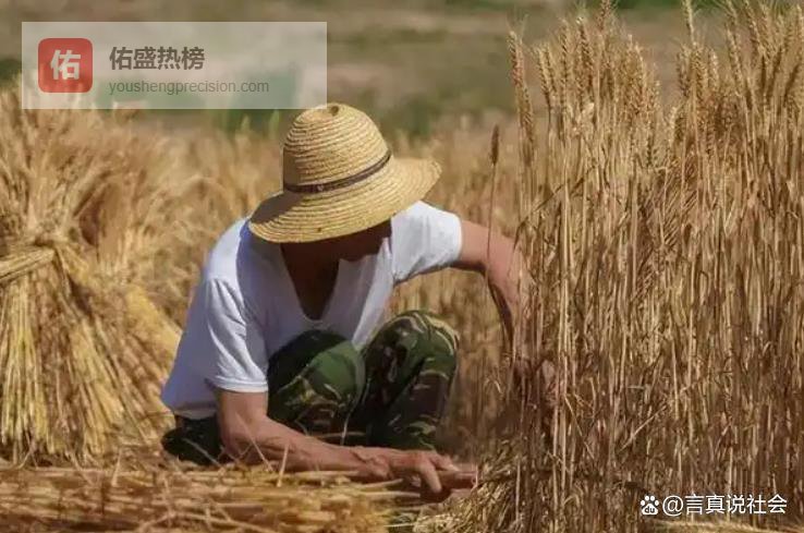 想想过去为啥抢着农转非，现在农民有地涨养老金就有人红眼了？