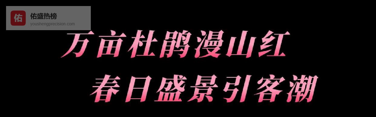 单日游客创五年来新高！云雾山搅热“花经济”