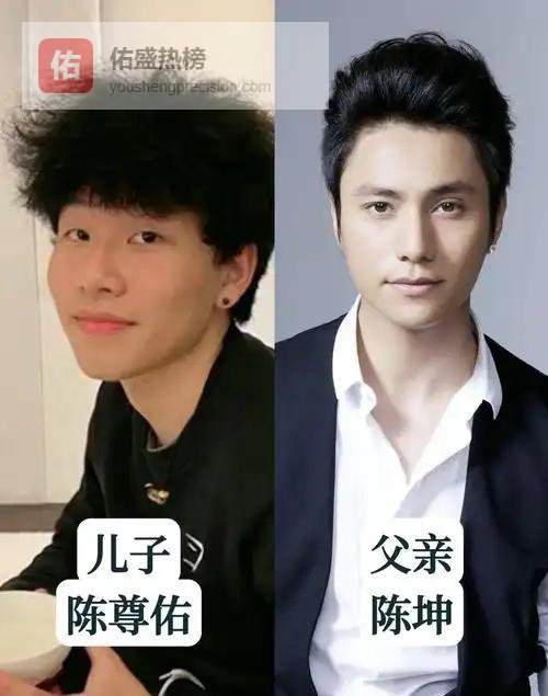 陈坤儿子生母这事，他本人早就摊牌了啊