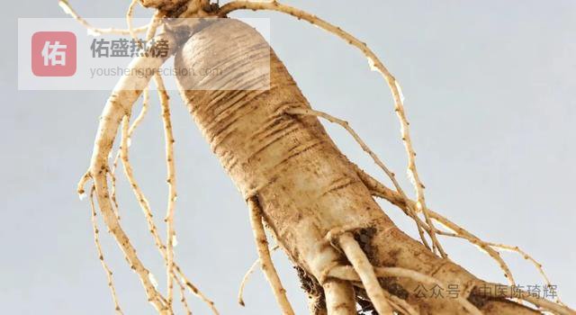 支气管扩张可别乱补！这些东西，越补身体越糟