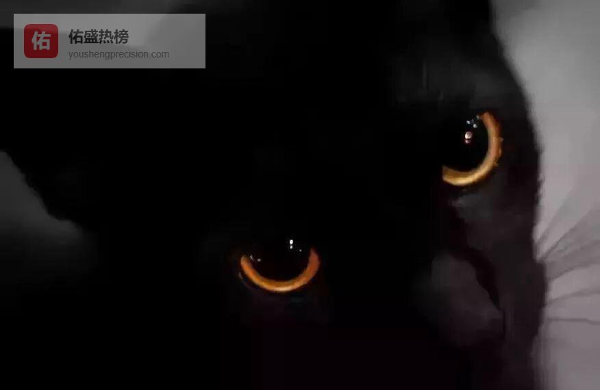 红眼真相：拍照时眼睛里为何出现红圈