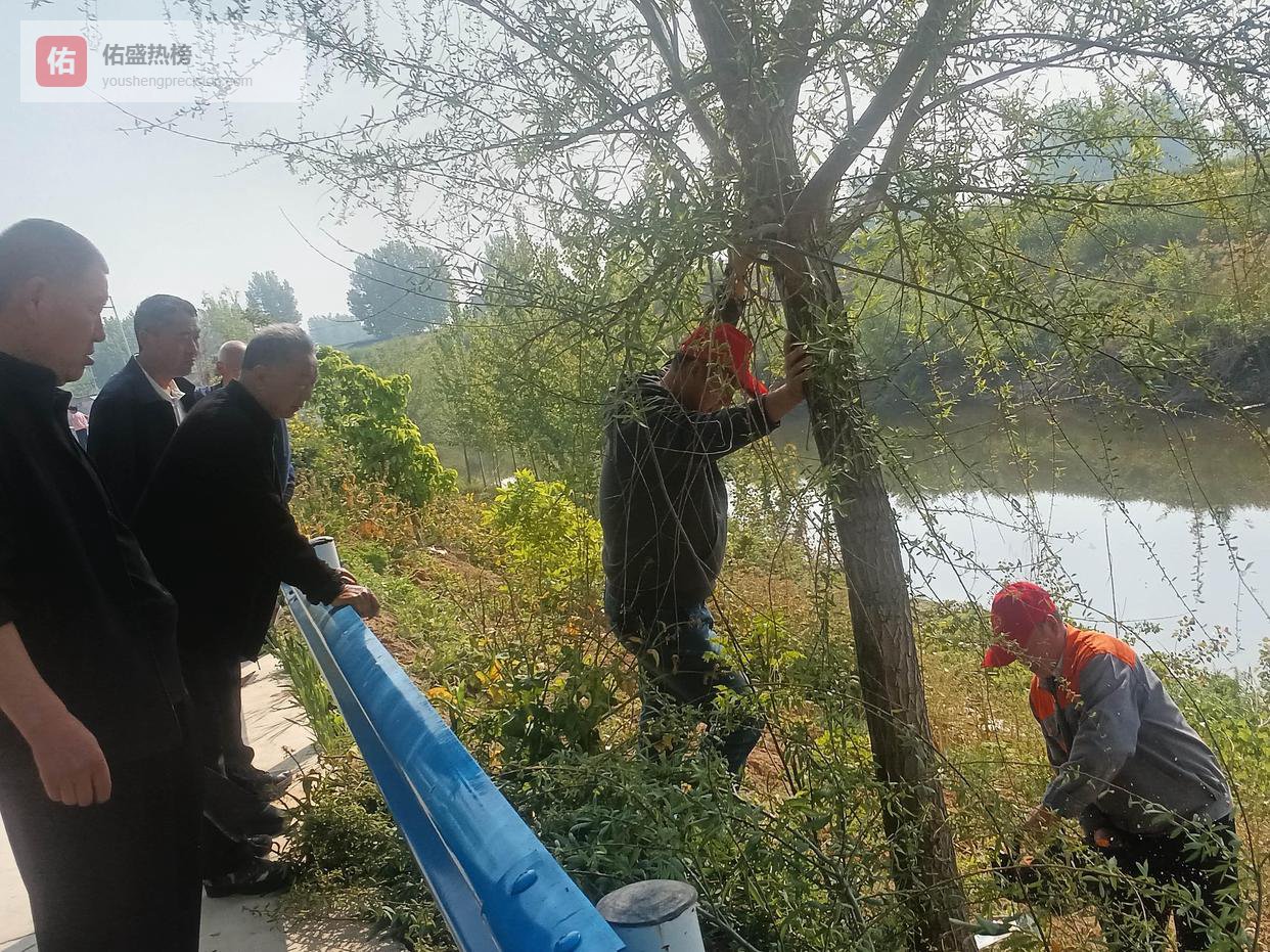 汤阴菜园：全力整治侵占河道违法种植，筑牢生态环境安全防线