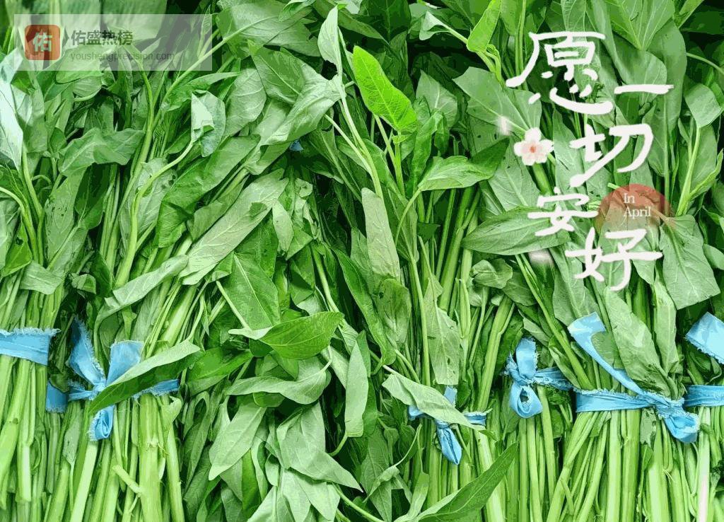 杨叶万亩有机菜园直送鄂城，鲜蔬驰援战疫情