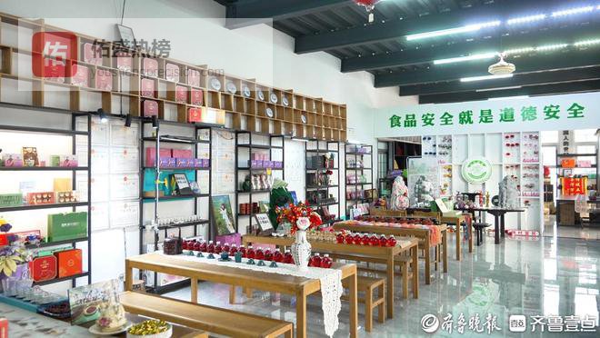 文旅她力量丨张作会：扎根五莲，她把茶山做成风景带乡亲们增收