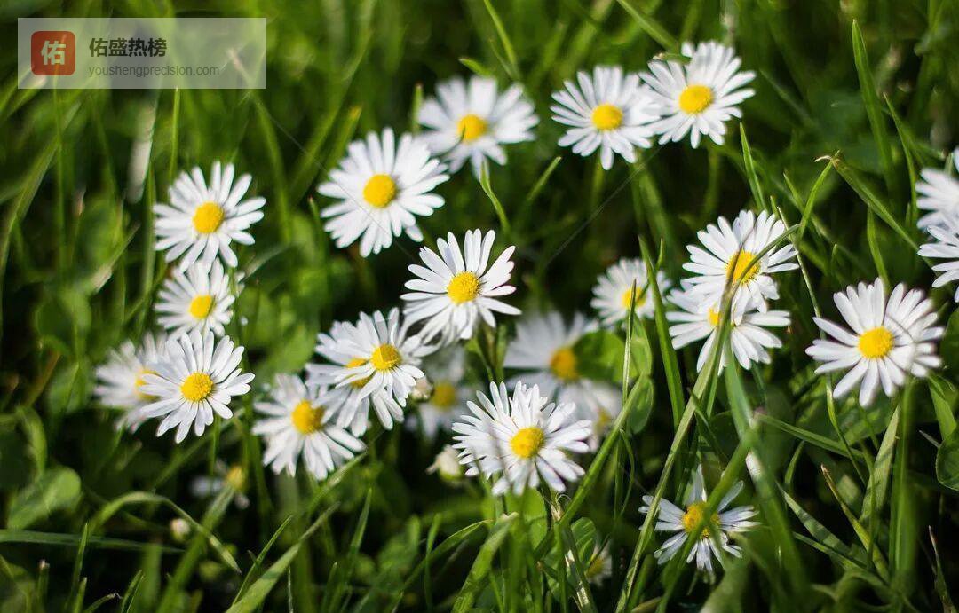 把安全写进童年：幼儿自我保护意识全攻略