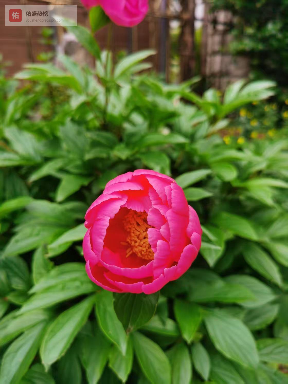 一个家越过越好的8个好习惯，占5个就很幸福，愿你家全都有