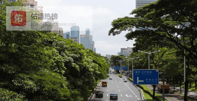 深圳有车族：摇到号却停不到位，停车焦虑比堵车更窒息