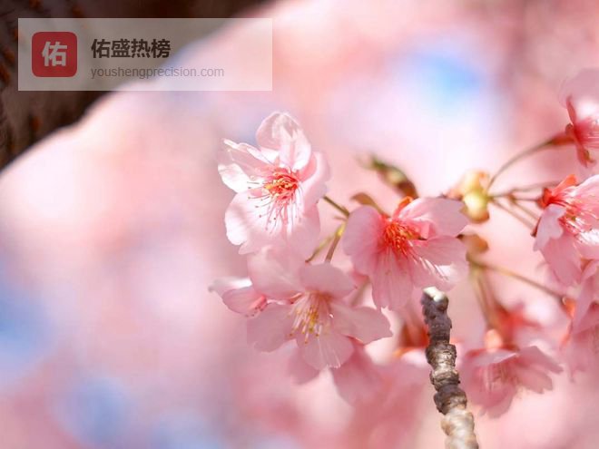 有志气更有福气！4月期间好运如影随形，机遇多横财在握的3生肖！