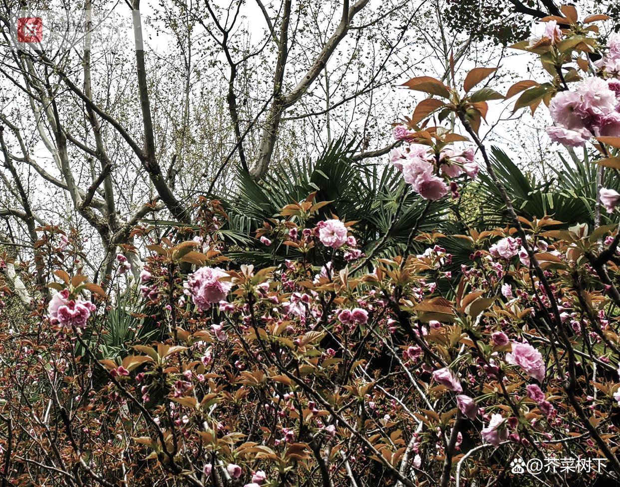 招牌：是守是丢，在于人