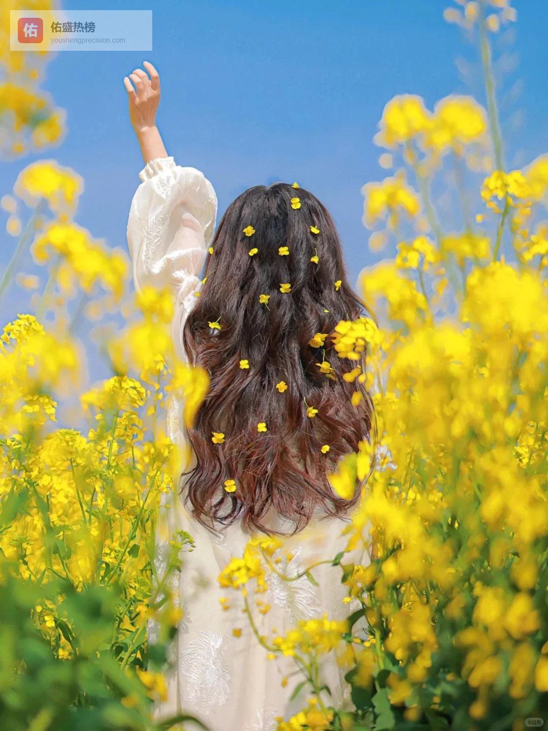 7首绝美油菜花：不抢春光半分，却铺满人间一片暖阳