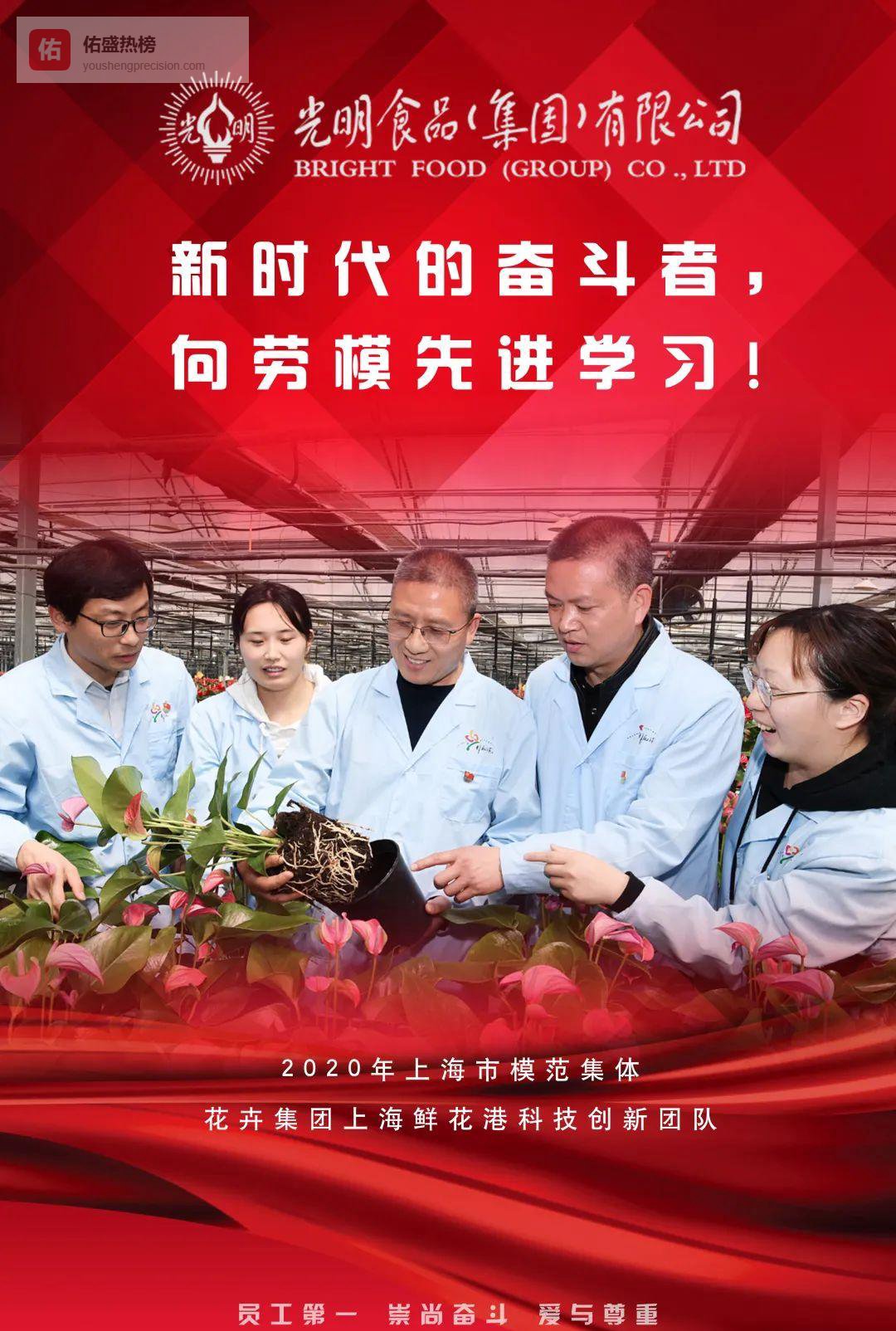 光明追梦：上海鲜花港团队如何助力花博会