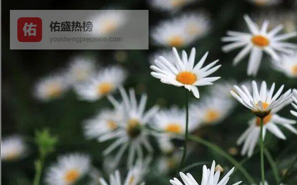 你在天堂，我在人间——女儿写给妈妈的半载长书