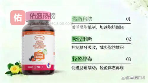 打工人减脂救星！2026减肥产品盘点