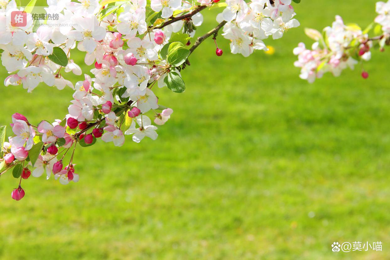 女人和婚外男人在一起，往往从做了这件事开始