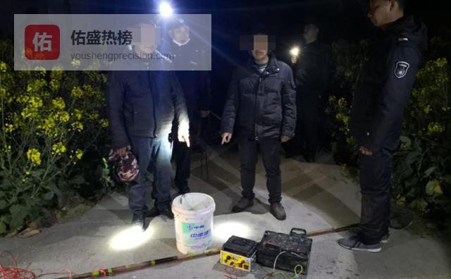 一张“电网”背后的生态代价与法律红线