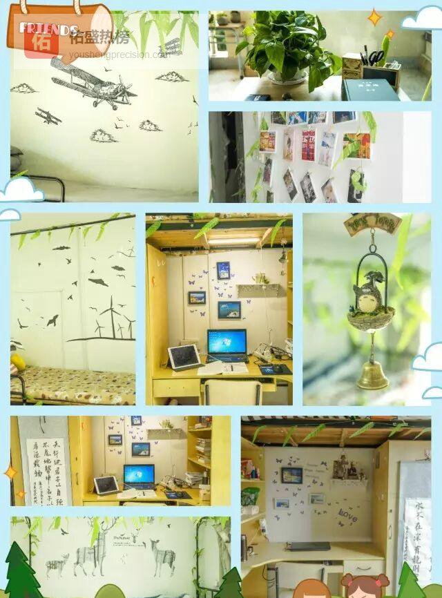 翠荷清欢：工科生的诗意栖居