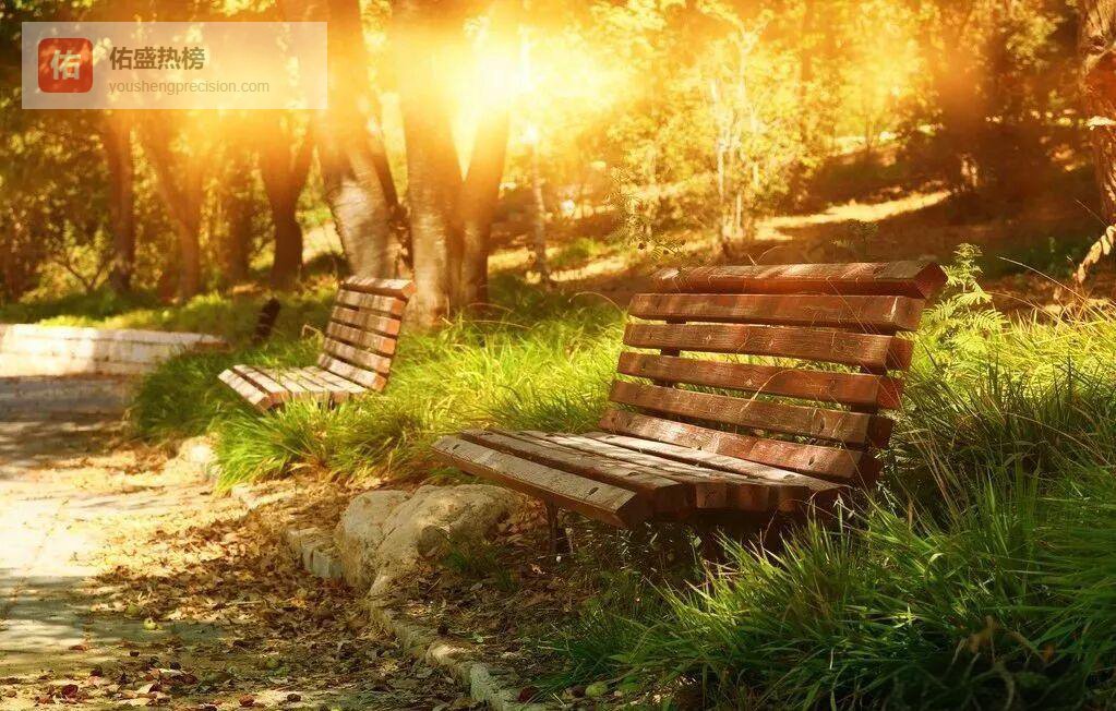 一次失利，一次重启：从公园男孩身上学到的坚持