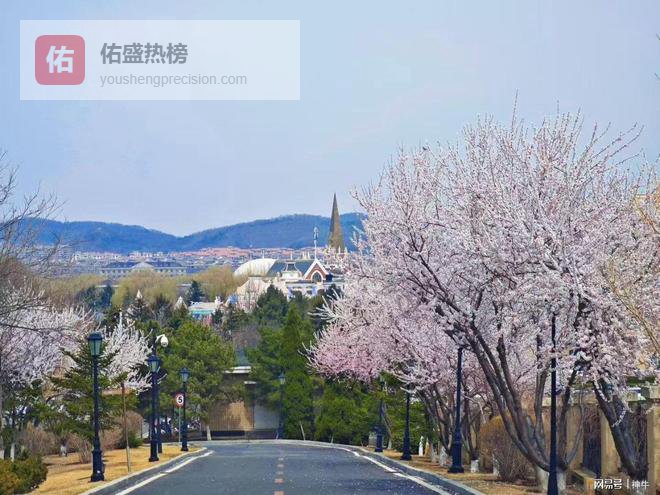 万没想到！清明后掉价“最猛”的5种商品，猪肉竟然还在其中