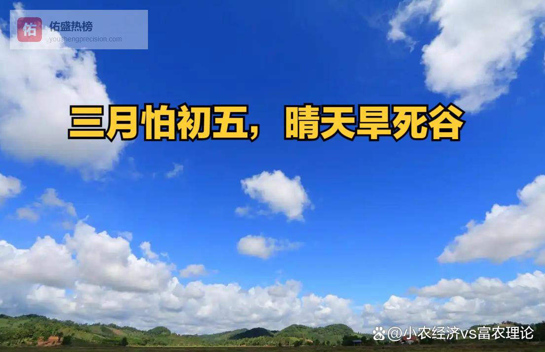 今日三月初五，老人说“三月怕初五，晴天旱死谷”，这天晴天有何预兆？