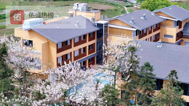 泾县：盘活集体“沉睡地” 共绘振兴“新画卷”