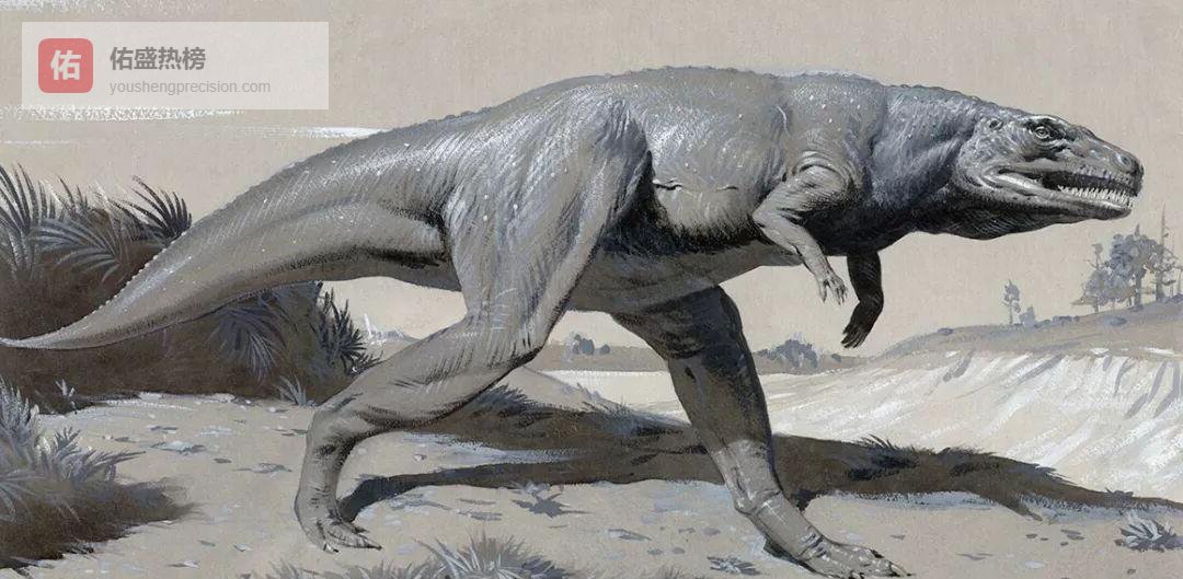 50年恐龙复原图对比：哪些细节被“误判”了？