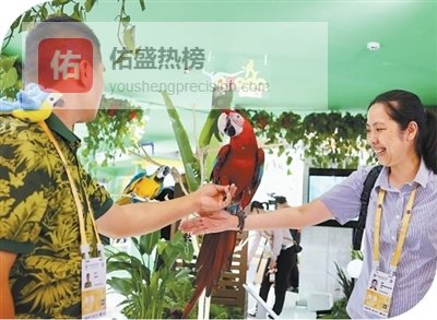 高品质生活意味着什么？记者消博会现场体验