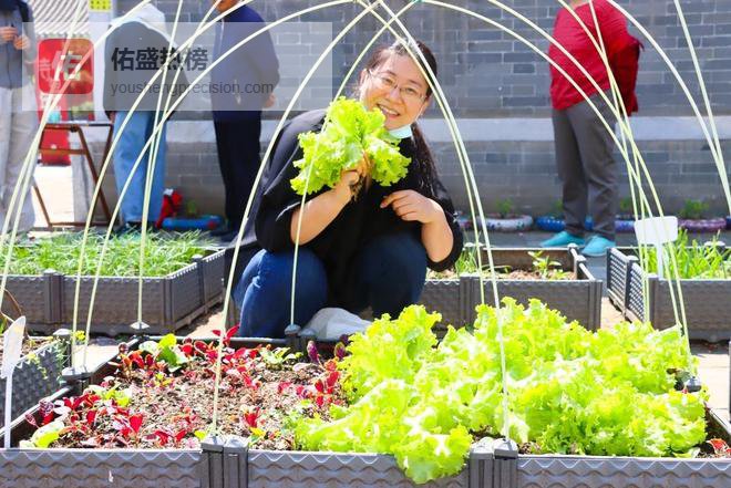 昌平回龙观打造“城市会客厅”寺锦 古建里“长”出新邻里