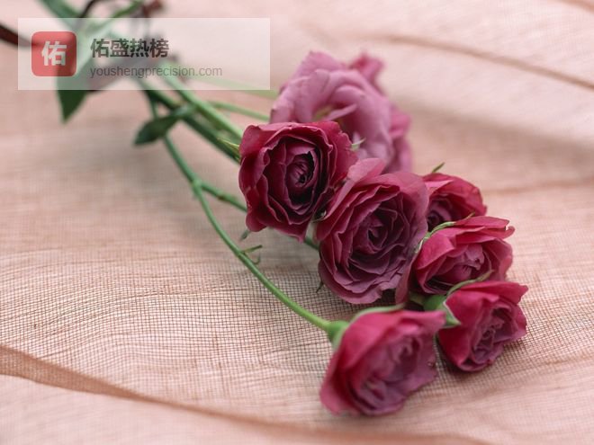 娶到就是赚到！TOP3生肖女：旺夫旺己还能攒钱，后辈子纯享福！