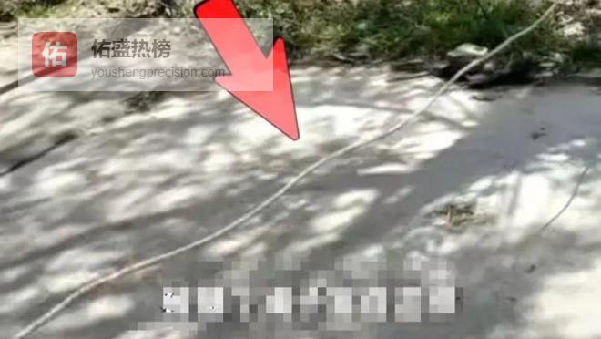 央视网评：男孩骑车被绳子割喉，别再拿无辜者的鲜血为个别人的“方便”买单了