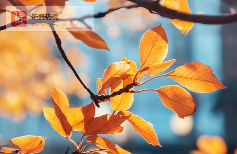 其实，这就是你“不争不抢”，却总是招来恶意的根本原因