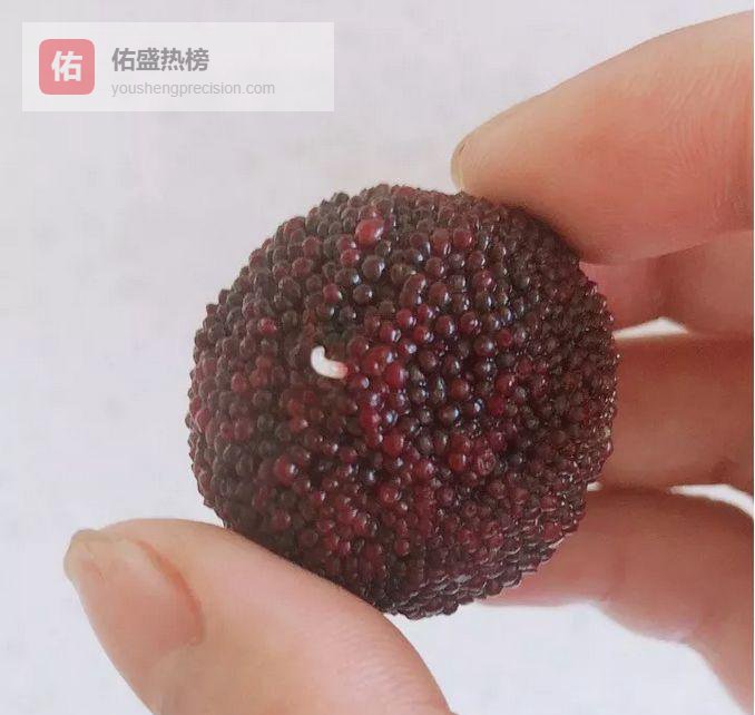 杨梅泡盐现“虫影”？别慌，那是果蝇幼虫在报到