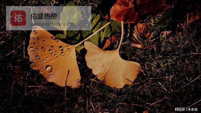 真正爱你的人，从不只在嘴上说：我爱你