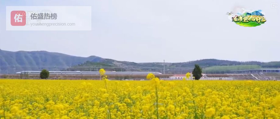 以花为媒、以节兴旅 乘坐“开往春天的列车”解锁多样春日限定浪漫