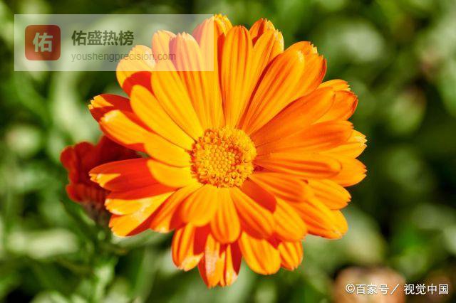 为你打开这些“禁区”的女人，不是不自爱，是深爱你