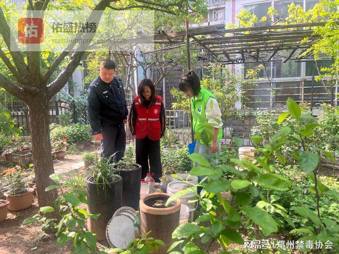 “种一棵也不行！”——这场禁毒宣传给居民算了笔“违法账”