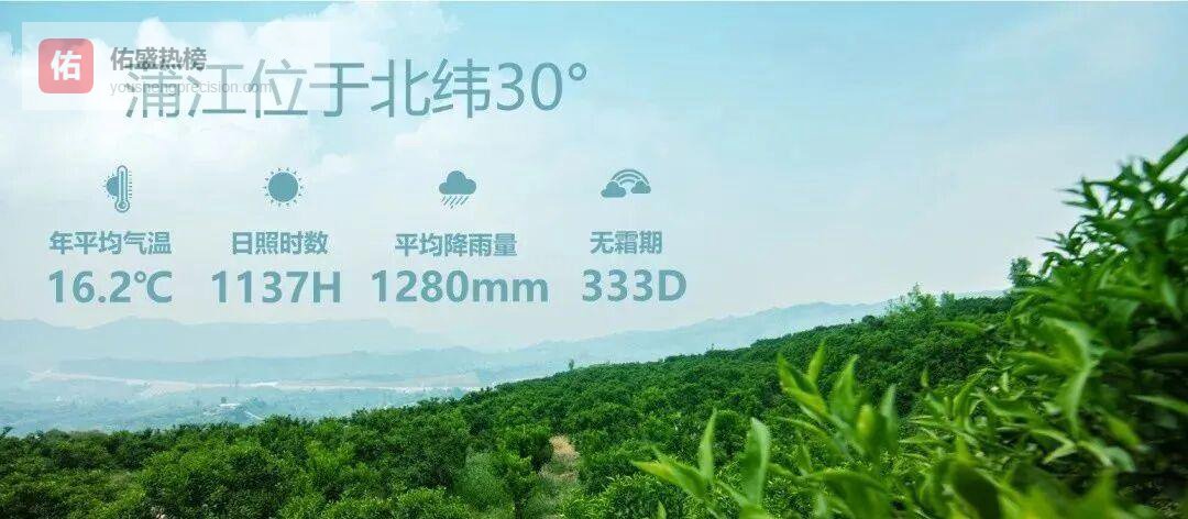 北纬30°的味觉奇迹：蒲江丑橘全记录