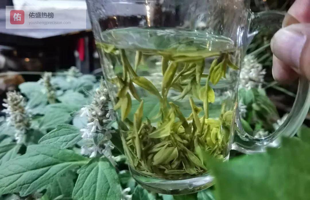 江浙三剑客：龙井、碧螺春、安吉白茶谁更得你心？