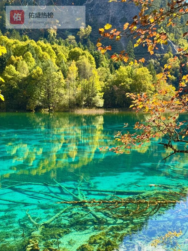 四川九寨沟跟团6天5晚价格多少？四川九寨沟6日游最佳路线