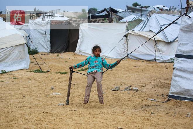 阿联酋、沙特、卡塔尔等多国，发表联合声明