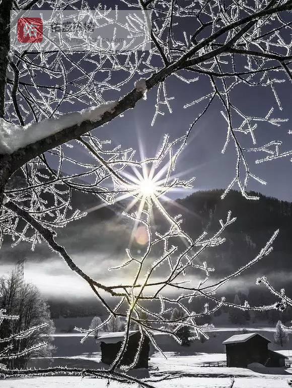 八大雪域雾凇奇境，一眼入冬的银色梦幻