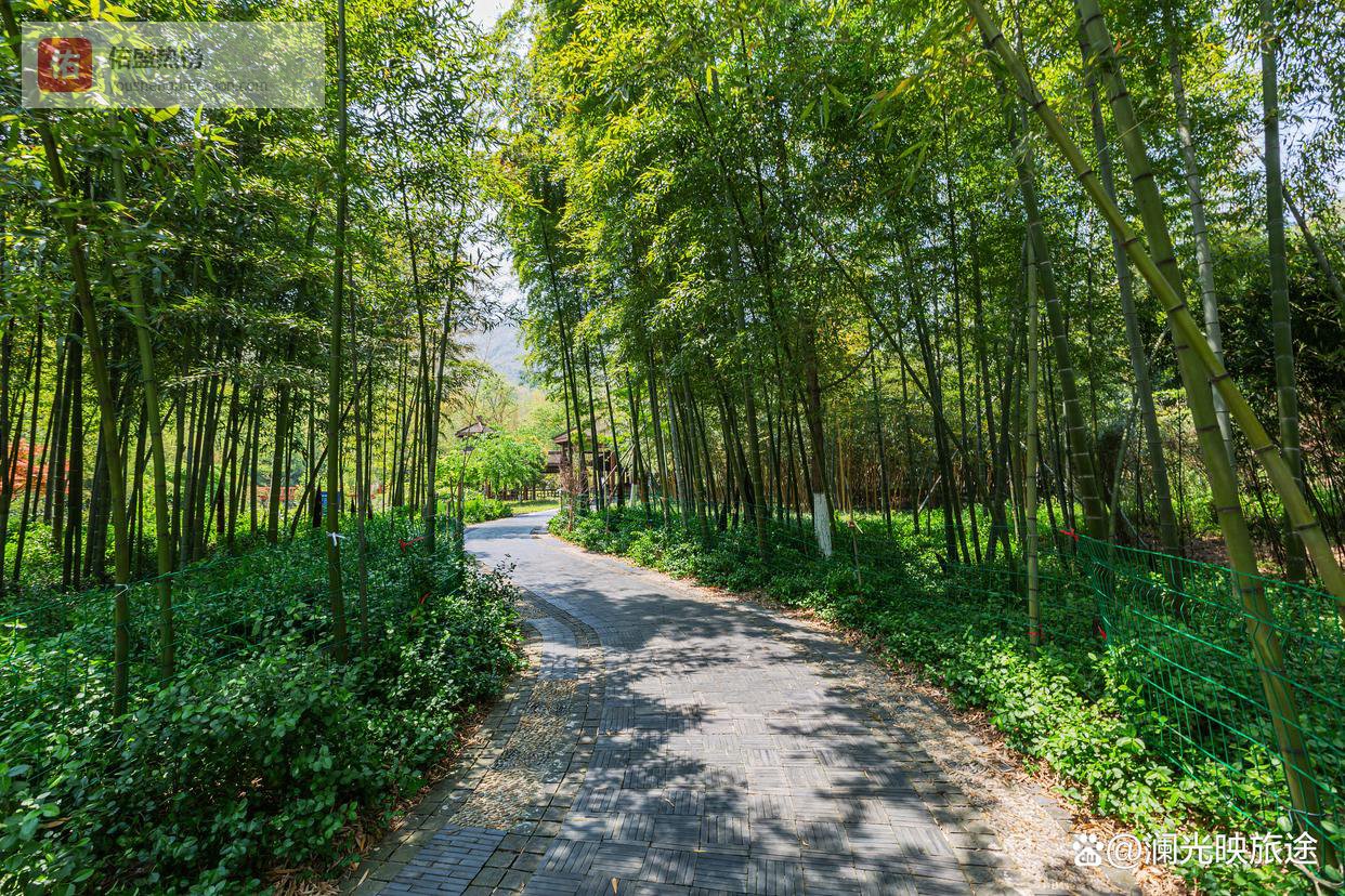 川藏11日跟团游，为什么说它是苏州出发的“公路旅行天花板”？