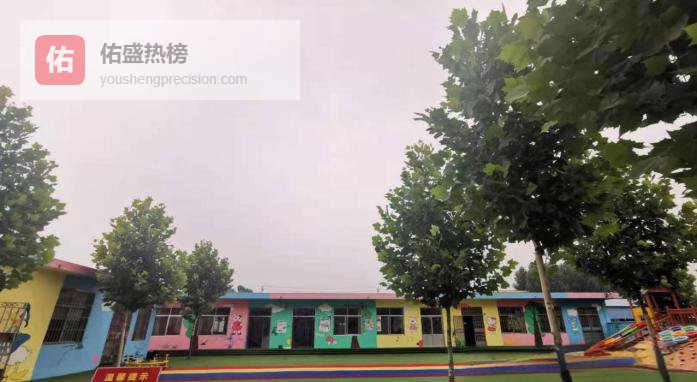 梯子上的童年：一场从“好奇”到“勇敢”的户外探险