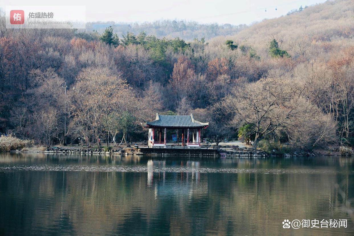 1975年蒋介石去世，棺木暂厝慈湖不入土，说要等“回中山陵”，51年过去了，2026年国民党主席郑丽文站在棺前鞠躬，墓穴还在空着