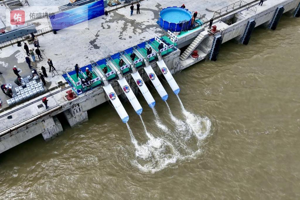 上海现代农业产业园（横沙新洲）举办中华鲟增殖放流活动